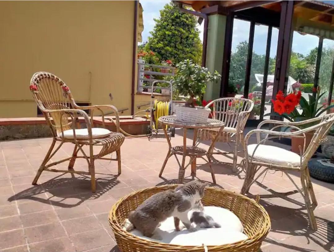 B&B Santa Maria フォリーノ エクステリア 写真